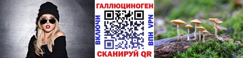 Купить где  Ардатов  Галлюциногенные грибы Cubensis 