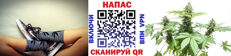 Канабис конопля Ардатов